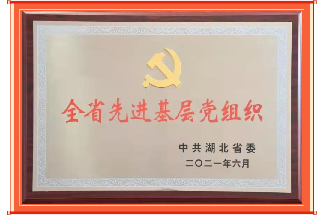 荣誉-3.png